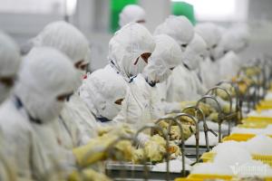 Vua tôm tiết lộ sự thật các doanh nghiệp 'đốt' nghìn tỷ mỗi năm