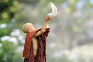 Phật dạy có 7 trường hợp không nên sát sinh