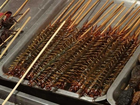 Có bao nhiêu người dám ăn đặc sản rết nướng ở Trung Quốc?