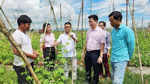 Thành phố Pleiku (tỉnh Gia Lai): Tỷ lệ hộ nghèo giảm xuống còn 0,25% trong năm 2023