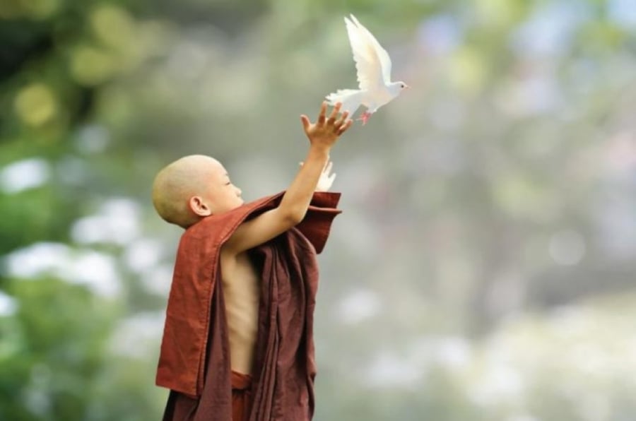 Phật dạy có 7 trường hợp không nên sát sinh